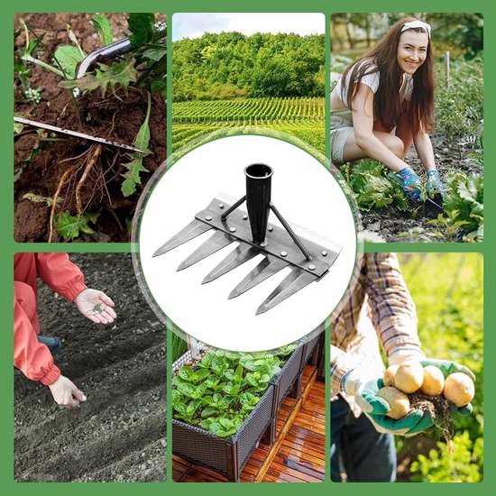 Tuinhark - Grasverwijderaar Onkruidkrabber - Gazononderhoud - Dubbelzijdige kop - 5 tanden - Niet gespecificeerd