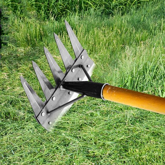 Tuinhark - Onkruidverwijderaar - Gazononderhoud - Dubbelzijdige kop - 5 tanden - Metaal