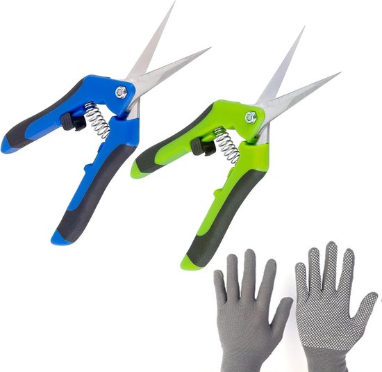 Tuinschaar, 2 stuks bloemenschaar, roestvrij stalen oogstschaar, leesschaar, takkenschaar, 2 snoeischaar + 1 paar tuinhandschoenen, set, voor tuin, groenten en fruit, enz. (groen + blauw) van Fippy