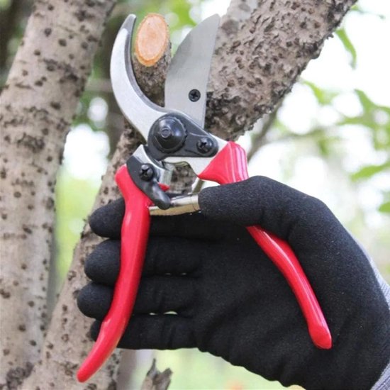 Tuinschaar Geschikt voor titaniumcoating - een bypass-tuinschaar van gesmeed SK5-staal Geschikt voor comfortabele handgrepen en uitzonderlijk scherpe snijkanten, Geschikt voor gebruik als snoeischaar, rozenschaar of bonsaischaar.