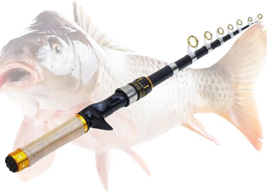 Uitschuifbare Hengels - Vistuig Werphengel - Zoetwatervissen Forel - Compact & Draagbaar - 2.1 Meter - Zwart