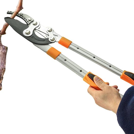 Uitschuifbare Snoeischaar - Lange Steel Snoeischaar Takkenknipper - Tuinonderhoud Snoeien - Precisie Gelegeerd Staal Kop - Tot 97 cm Uitschuifbaar