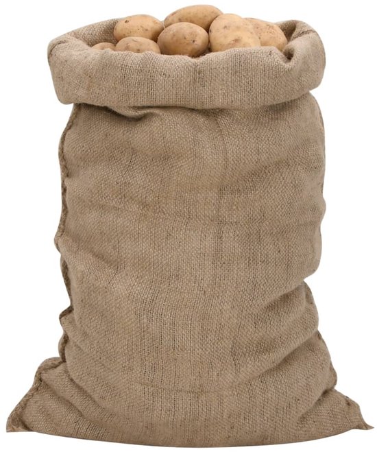 vidaXL Jutezakken 5 stuks 340 g/mÂ² 60x105 cm 100% jute van VidaXL