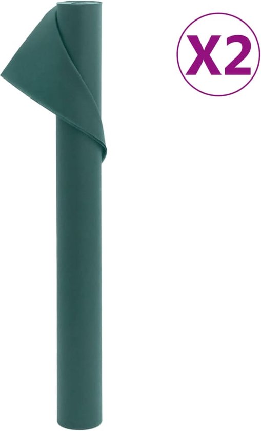vidaXL - Vliesdoek - voor - planten - 2 - rollen - 70 - g/m² - 10x1,6 - m van vidaXL
