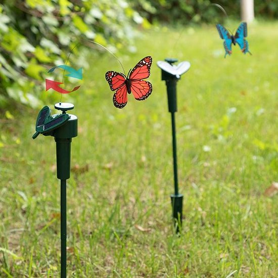 Vlinder Zon Fluttering van Vlinder Zon