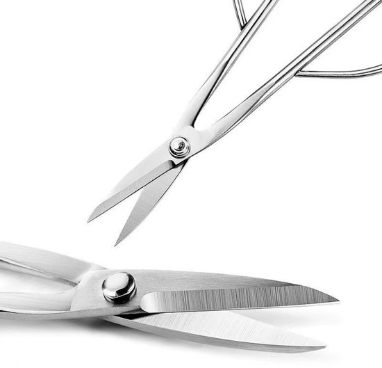 Volledig Roestvrijstalen Bladknopschaar - Bladschaar Voor Jonge Bladeren - Bonsai Tuingereedschap - Kleine Takkenknipper - Snoeischaar - groot van Merkloos	