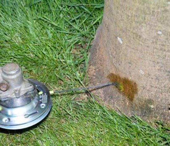 WEE100254 Weedlover maaikop universeel 25,4mm van Eurosystems