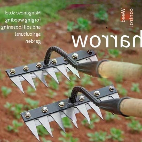 Wiedhark 6 Tanden - Tuinhark Losmaken - Onkruid Verwijderen - Drievoudig Gelast - 20 cm Breed - Zwart