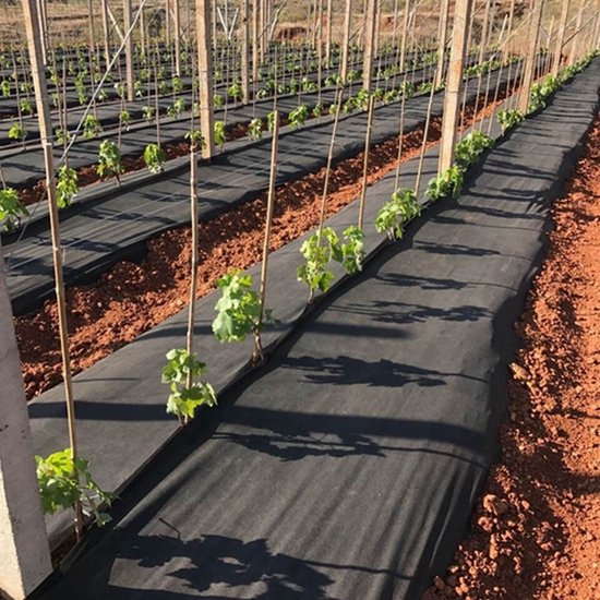Wigo-Garden Serie - Zwarte Agrowłóknina - 60g/m2 - 120cm x 10m - UV Bescherming van Merkloos	