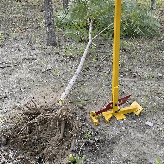 Wortelverwijderaar - Boomtrekker Tuin - Gewas Oogsten - Verstelbare Bek - 6.3 kg - Zwart
